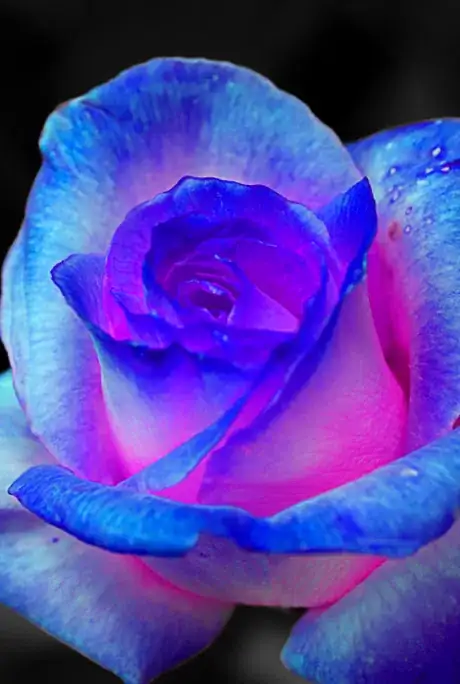 Image titled Starting snapshot photoshop cc.png