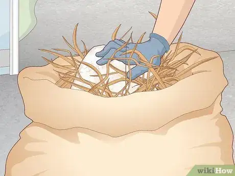 Image titled Create a Mycofiltration System Step 13