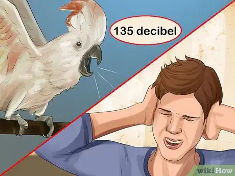 Image titled Live With a Moluccan Cockatoo Step 3