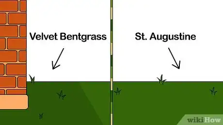 Image titled Grow Grass Step 3