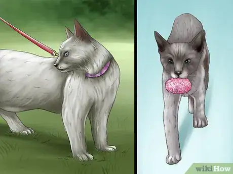 Image titled Take Care of a Javanese Cat Step 5