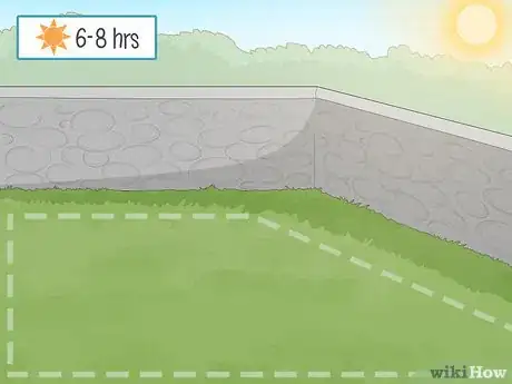 Image titled Grow Boxwood Shrubs Step 6