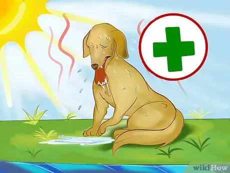 Image titled Protect Your Dog Around Backyard Pools Step 11