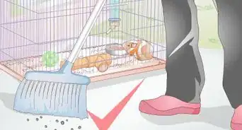 Clean Out a Guinea Pig's Hutch