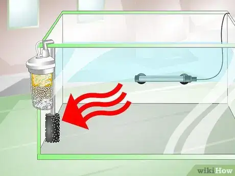 Image titled Provide a Protective Breeding Environment for Betta Fish Step 3