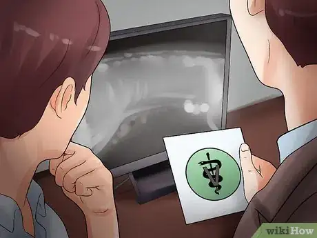 Image titled Detect Canine Bladder Stones Step 15