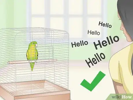 Image titled Teach a Parrotlet to Speak Step 6