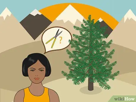 Image titled Prune White Pine Trees Step 02