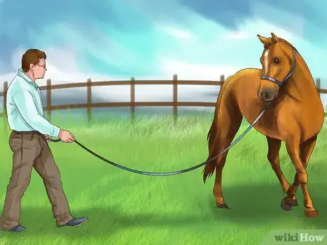 Image titled Diagnose the Cause of Fatigue in Horses Step 1