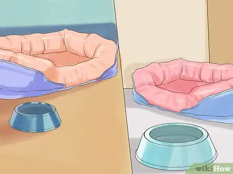 Image titled Adopt Multiple Dogs at One Time Step 12