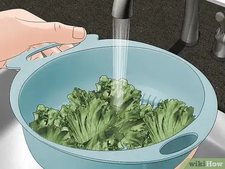 Image titled Clean Kale Step 8