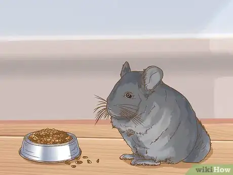 Image titled Clean a Chinchilla Cage Step 16