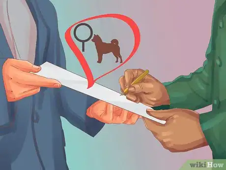 Image titled Choose a Lowchen Puppy Step 13