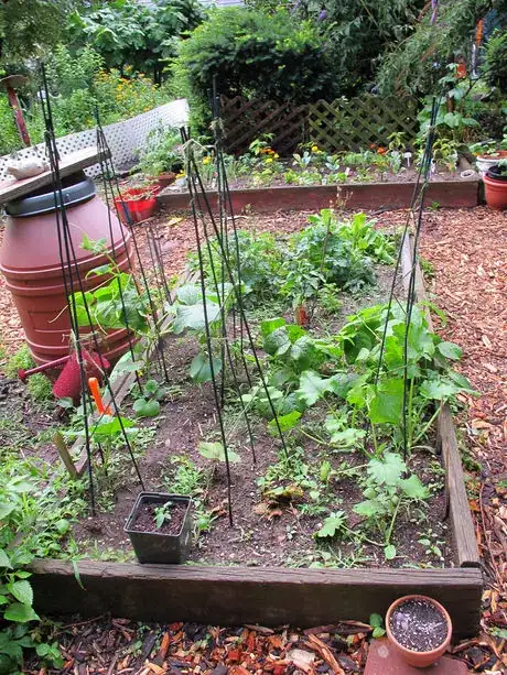 Image titled Community Garden, 6_25_2012