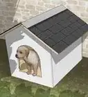 Build a Simple Dog House