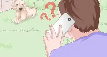 Get a Urine Sample from a Female Dog