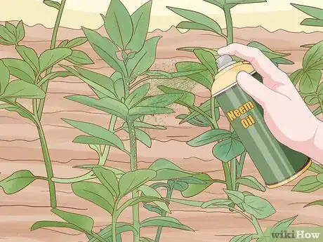 Image titled Reduce the Use of Pesticides in Farming Step 10