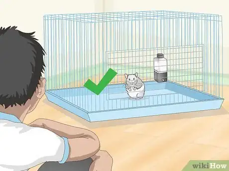 Image titled Train a Hamster to Run Through Tunnels Step 1