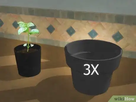 Image titled Grow an Indoor Herb Garden Step 9