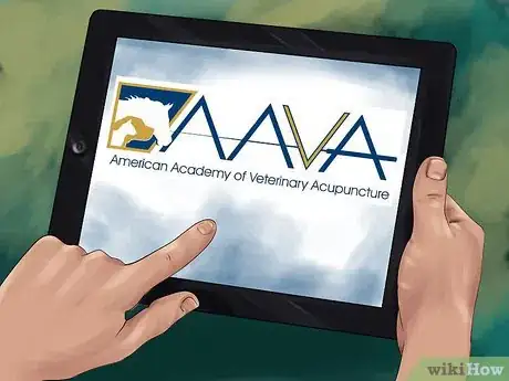 Image titled Treat a Cat with Acupuncture Step 9