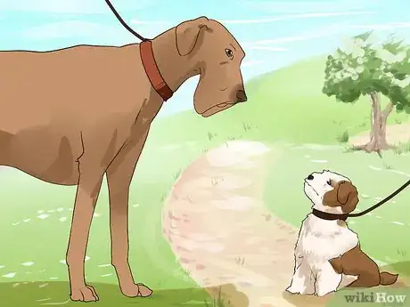Image titled Socialize a Puppy from a One Pup Litter Step 6
