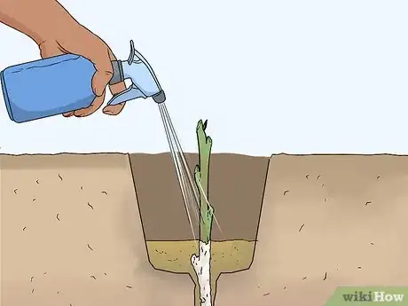 Image titled Take Hardwood Cuttings Step 13