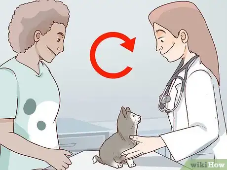 Image titled Handle Autoimmune Skin Disease in Cats Step 8