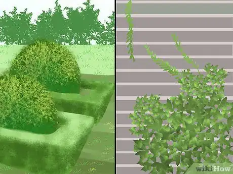 Image titled Design a Potager Garden Step 3