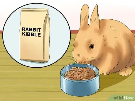 Image titled Care for Sussex Rabbits Step 7