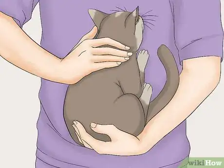 Image titled Avoid Losing Your Cat Step 15