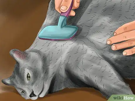 Image titled Diagnose and Treat Vitamin A Toxicity in Cats Step 11