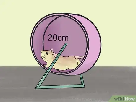 Image titled Care for a Shaw's Jird Step 5