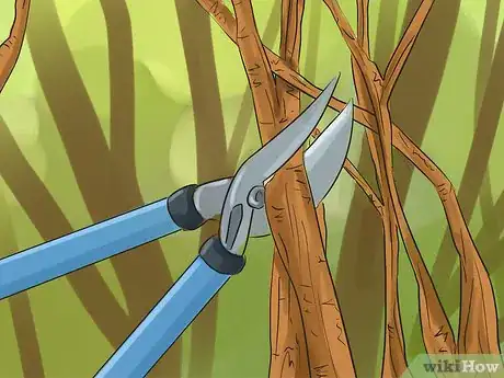 Image titled Prune a Crabapple Tree Step 6