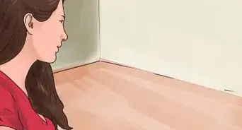 Keep Your Dog from Eating Your Cat's Food