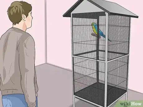 Image titled Recognize Stress in Your Pet Parrot Step 14
