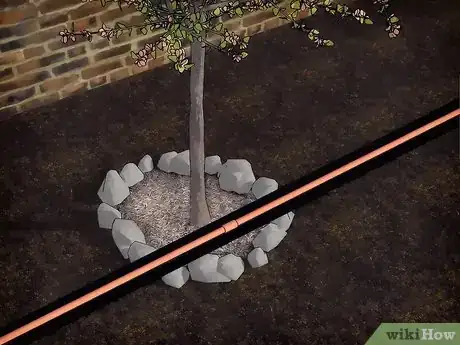 Image titled Grow Flowering Dogwood Step 14