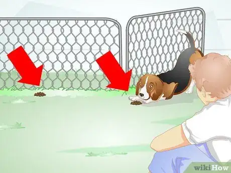 Image titled Reduce Flatulence in Dogs Step 10