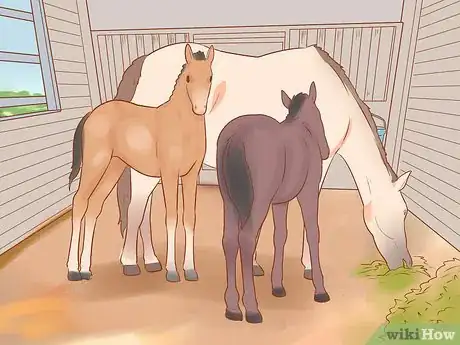 Image titled Wean a Foal Step 6