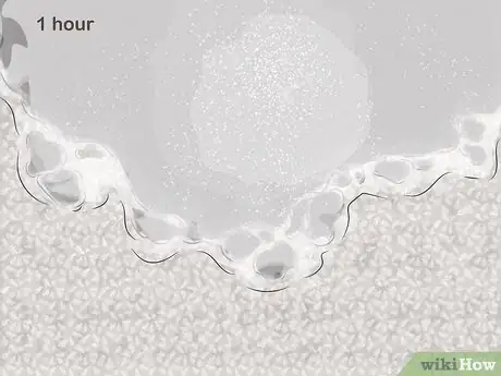 Image titled Remove Soot from Carpets Step 3