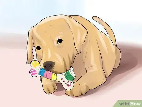 Image titled Care for a Recently Rehomed Dog Step 10