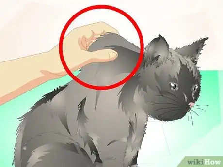 Image titled Deliver Oral Medication to Cats Step 5