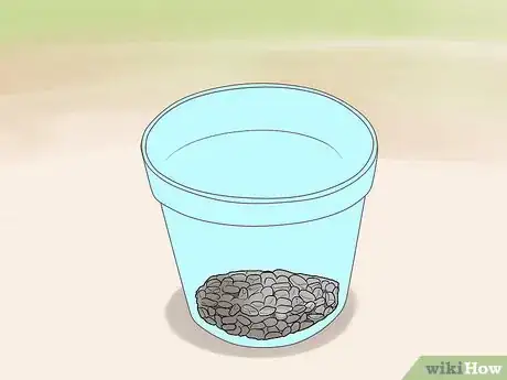 Image titled Grow Roses in Containers Step 5