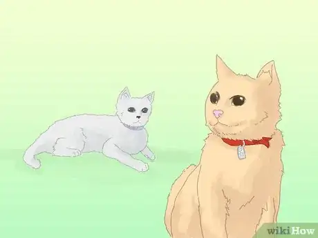 Image titled Keep a Cat from Running Away when It Is Moved Step 2