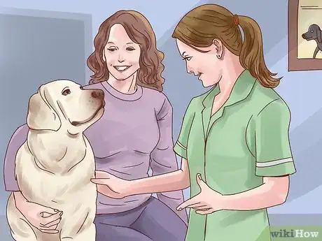 Image titled Help Your Dog Through Physical Therapy Step 4