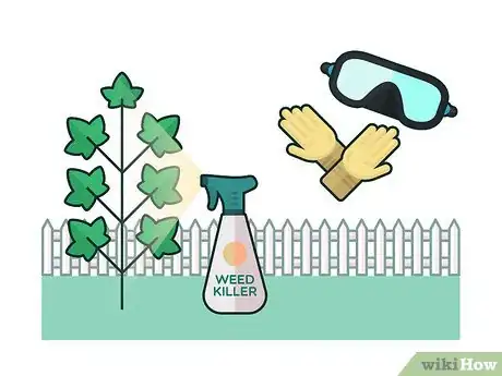 Image titled Get Rid of Ivy Step 2