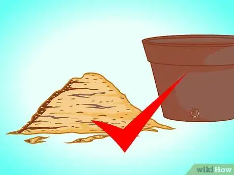 Image titled Transplant a Jade Plant Step 5