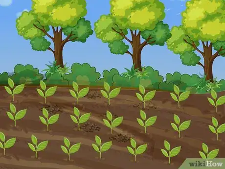 Image titled Plant Your First Garden Step 12