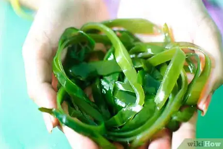 Image titled Make Seaweed Tea Liquid Fertiliser Step 1