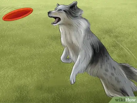 Image titled Know if You Are Ready for a Dog Step 32