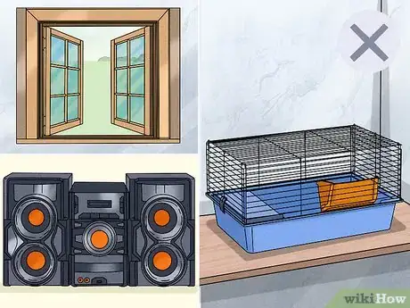 Image titled Keep Your Guinea Pigs Healthy Step 7